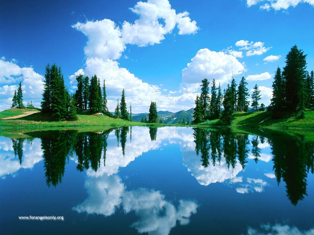 http://4.bp.blogspot.com/-qo34q8N0Le4/Th7Z1nVoxUI/AAAAAAAAGDY/PyjvT_b1Mlw/s1600/desktop_background-nature-wallpapers-15.jpg