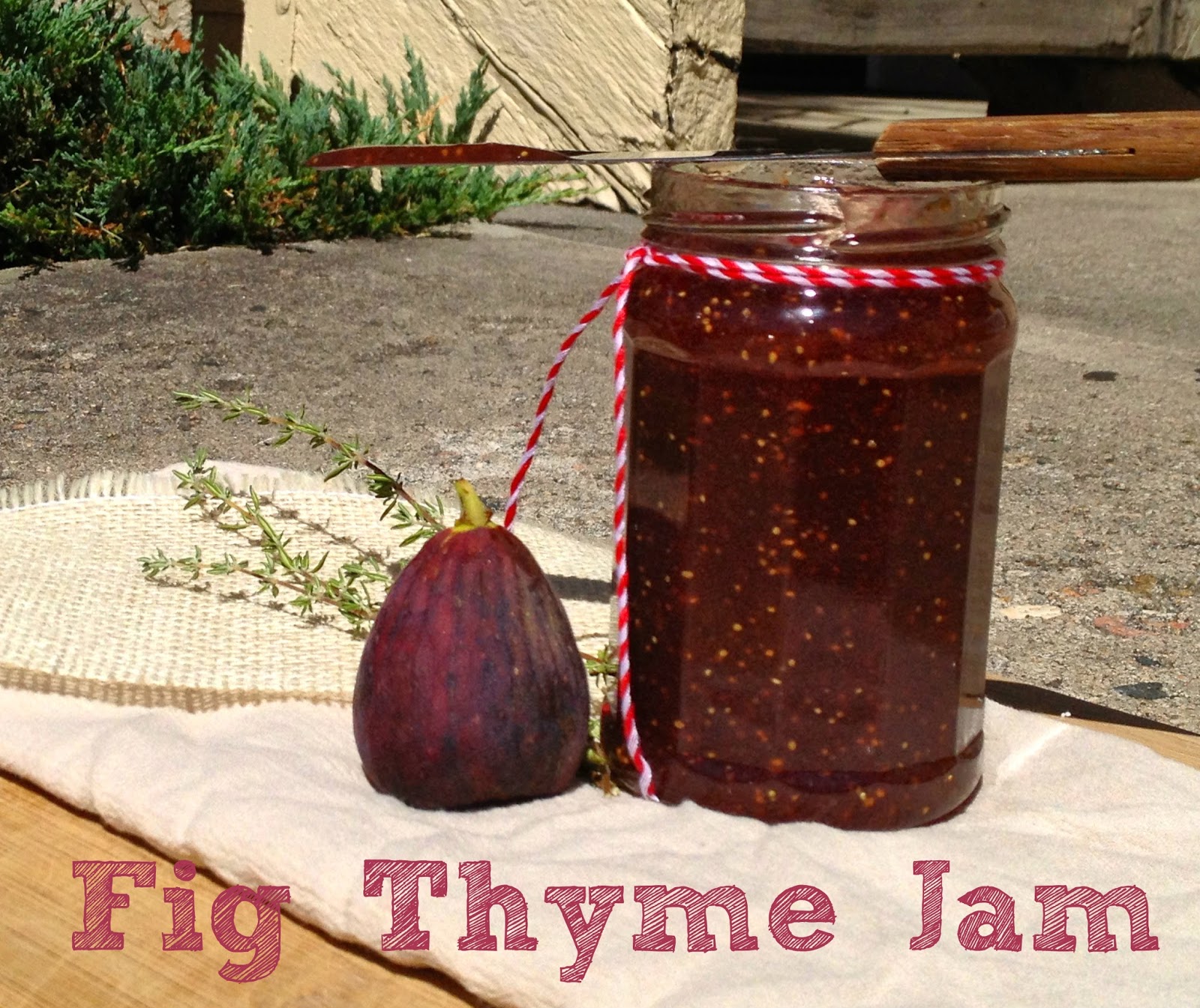 House of Ruby Jean Fig Thyme Jam and remembering an old friend...