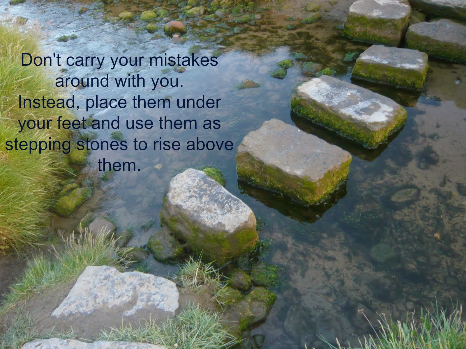 theworldaccordingtoeggface No regrets. Just action.