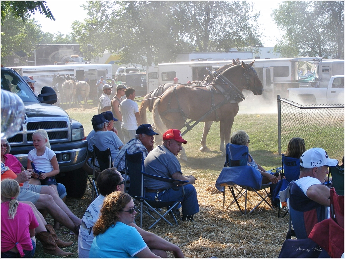 Volume Two Photos by Vada Horse Pull at Woodford County Fair.