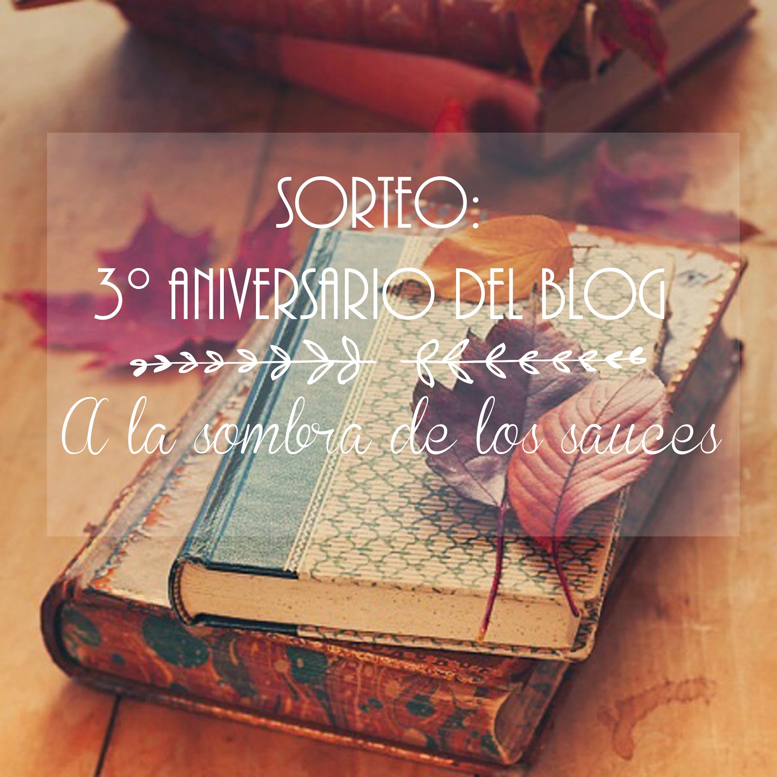 Sorteo del blog