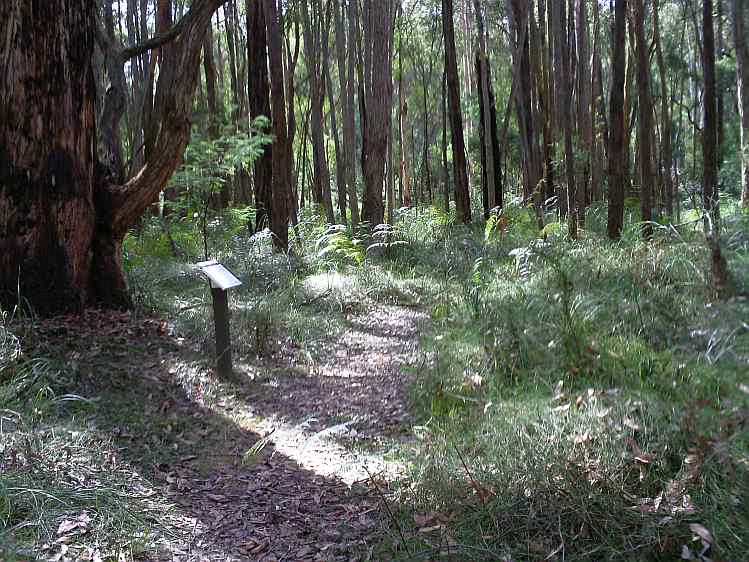 TRACKS, TRAILS AND COASTS NEAR MELBOURNE Mortimer Nature Trail