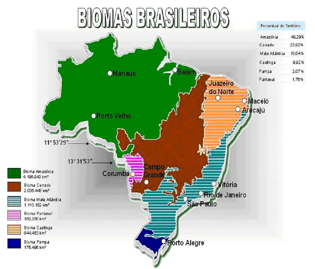 Mapa Do Brasil Ibge 2011