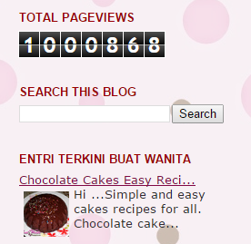 Total PV. Akhirnya. Pageviews Buat Wanita Melepasi 1,000,000. Pageviews Blog Sejuta.