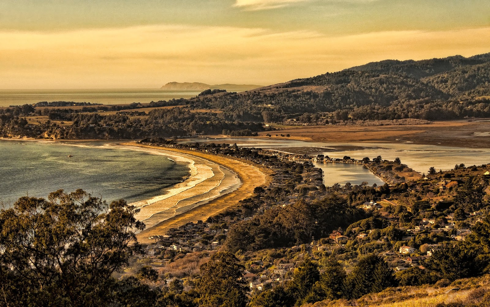 Dancing to Sculpture Bolinas, California