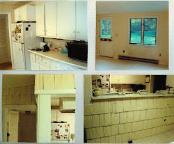 Kitchen BEFORE Renovation