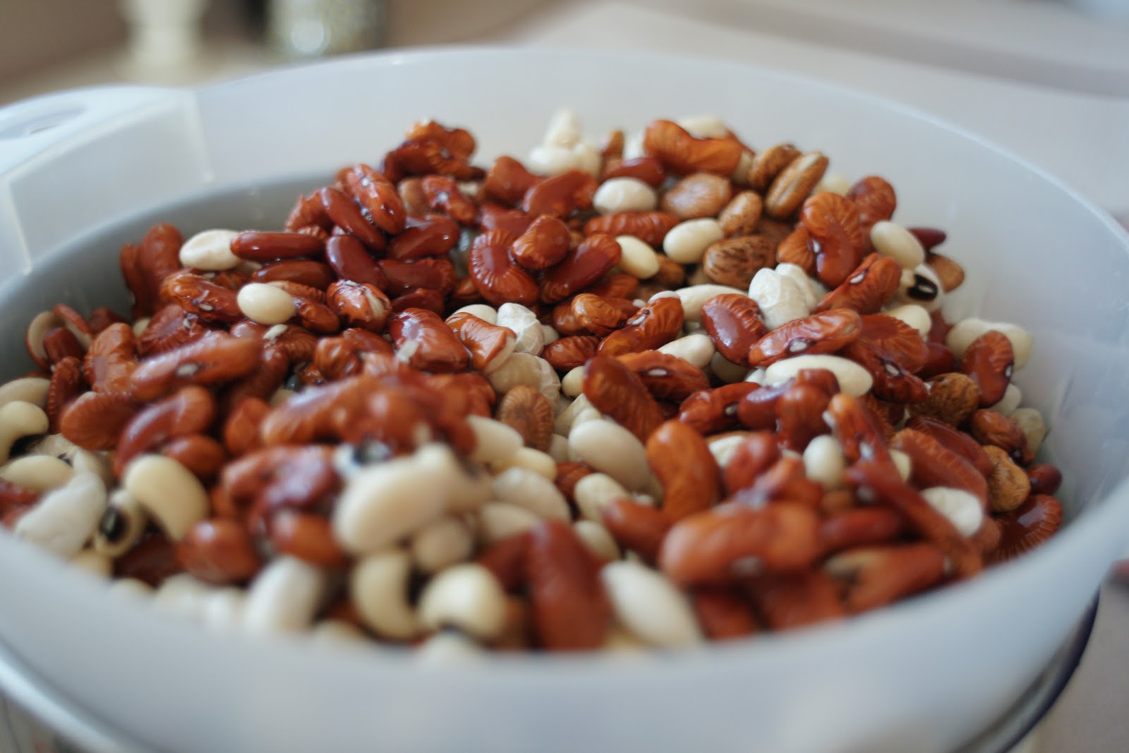 BBQ Blog Dutch Oven Beans