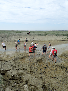 guide randonnée nature lucas baie de somme baie de somme sorties lucas