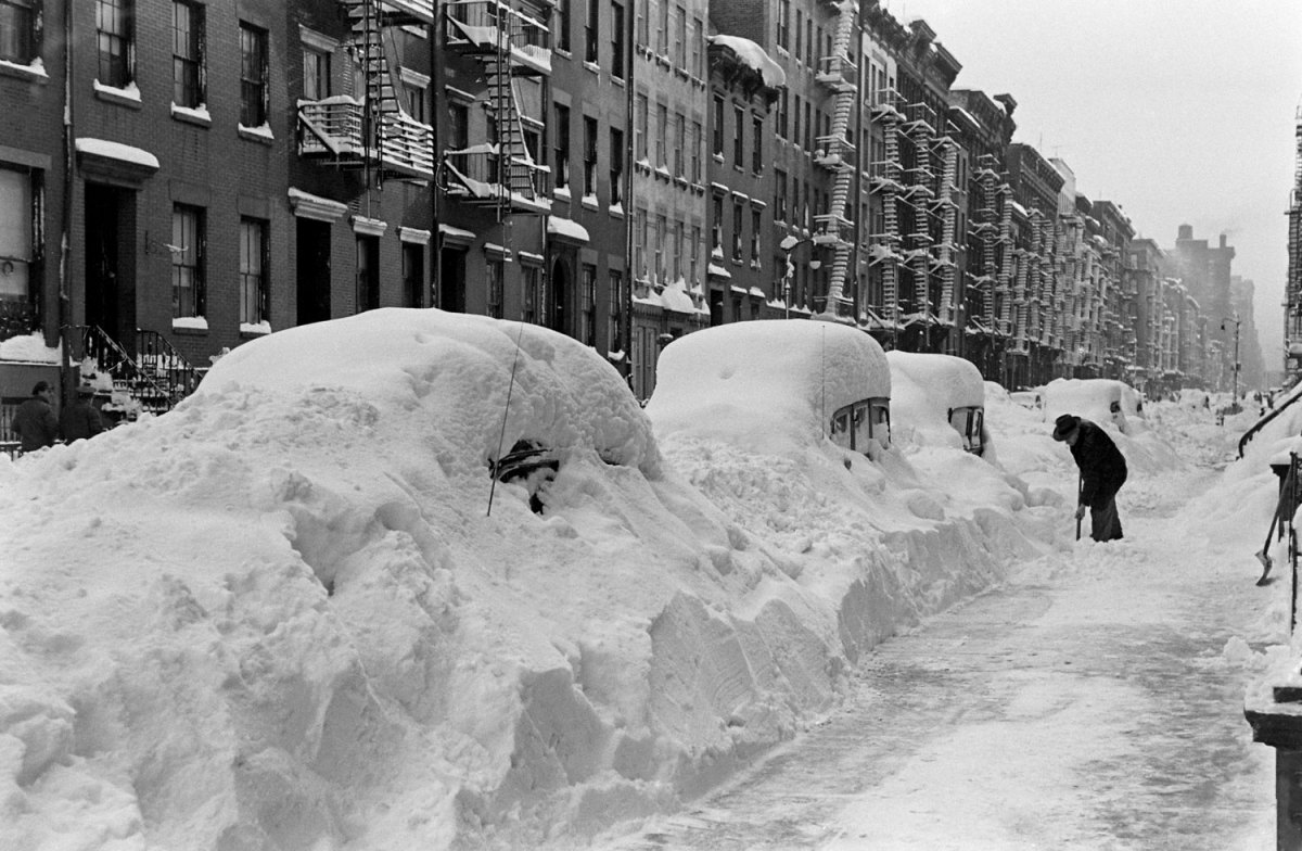 the great blizzard City of snow has 34 ratings and 8 reviews elizabeth said: a rosy, kids-eye view of the east coast blizzard of 1888, about a girl and her family who go t. the great blizzard City of snow has 34 ratings and 8 reviews elizabeth said: a rosy, kids-eye view of the east coast blizzard of 1888, about a girl and her family who go t.