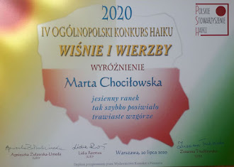 Wiśnie i Wierzby 2020