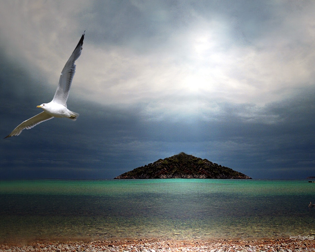 http://4.bp.blogspot.com/-qpUQ0-4YkuE/T3TEmy5O31I/AAAAAAAAG5k/8eEe4Pp3d38/s1600/Birds_9999532.jpg