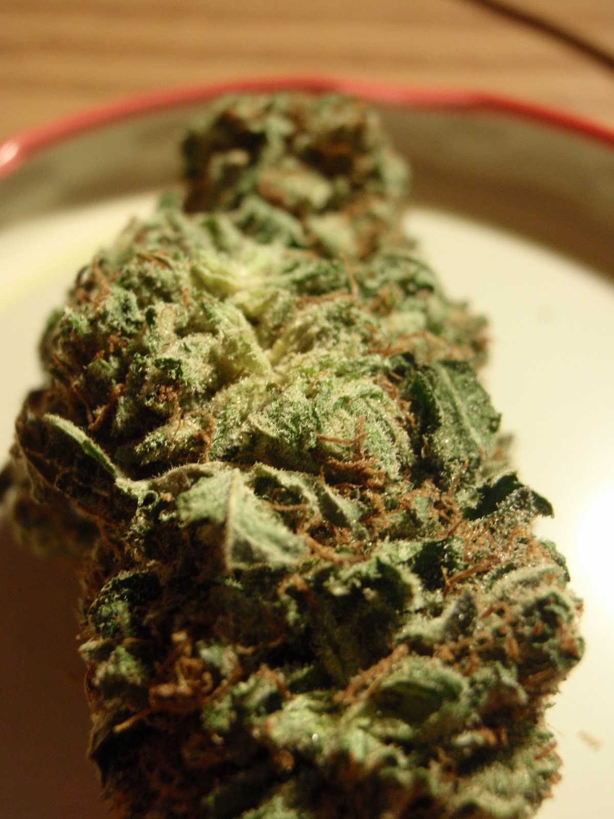 Purple Violator Kush