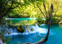 Инвестиции в ПАММ-счета. Итоги 117-й недели инвестирования