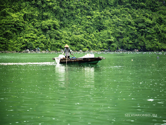 La Baia di Halong La Baia di Halong