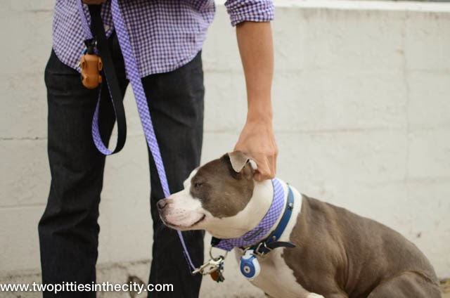 Leash Tying Trick For Dog Walking Leash Tying Trick For Dog Walking
