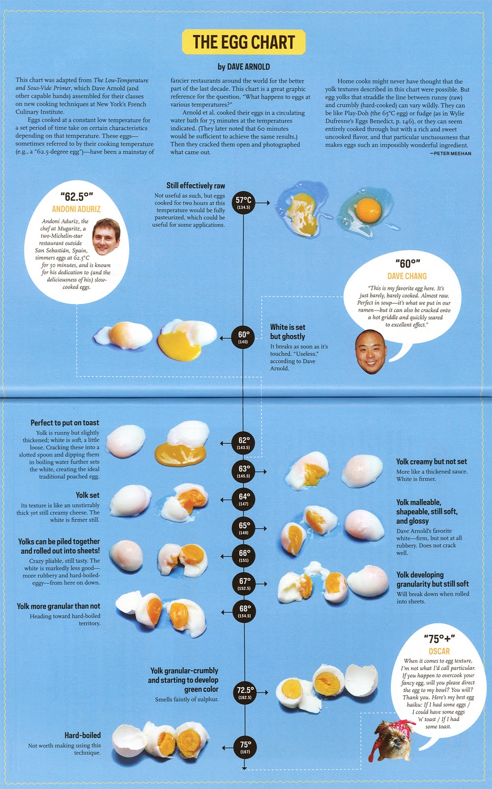 Forest Story Egg Chart