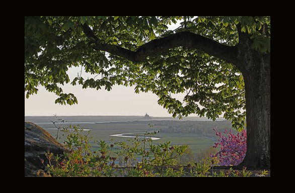 Panorama sur le Mt St Michel France Basse-Normandie Avranches by Yaneé, as seen on linenandlavender.net Take me there. http://www.linenandlavender.net/p/blog-page_5.html