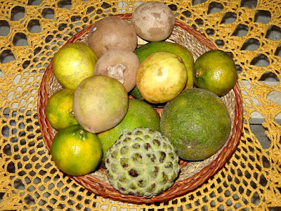 Restaurante Paraíso Tropical: Frutas do pomar Restaurante Paraíso Tropical: Frutas do pomar