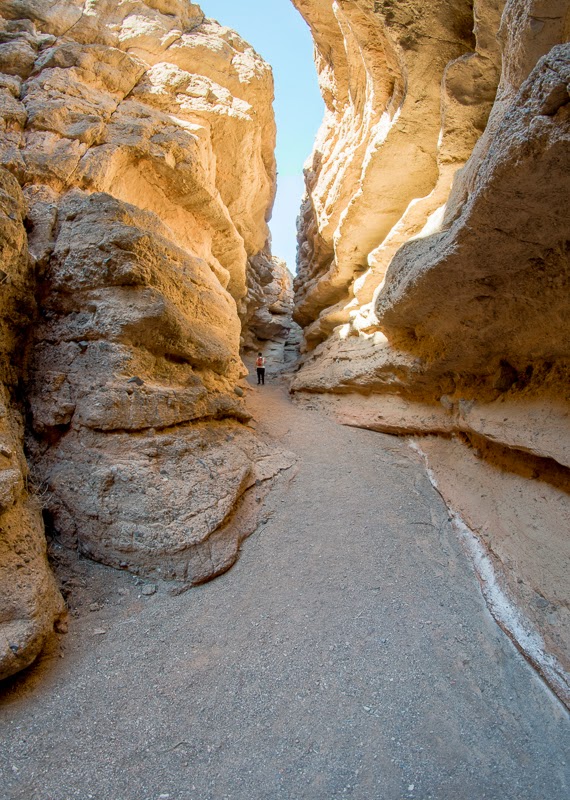 Hiking Through A Fisheye White Owl Canyon