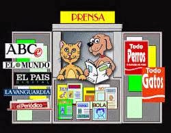 KIOSCO DE PRENSA