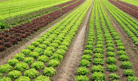 Us Organic Food Production Act Us Organic Food Production Act