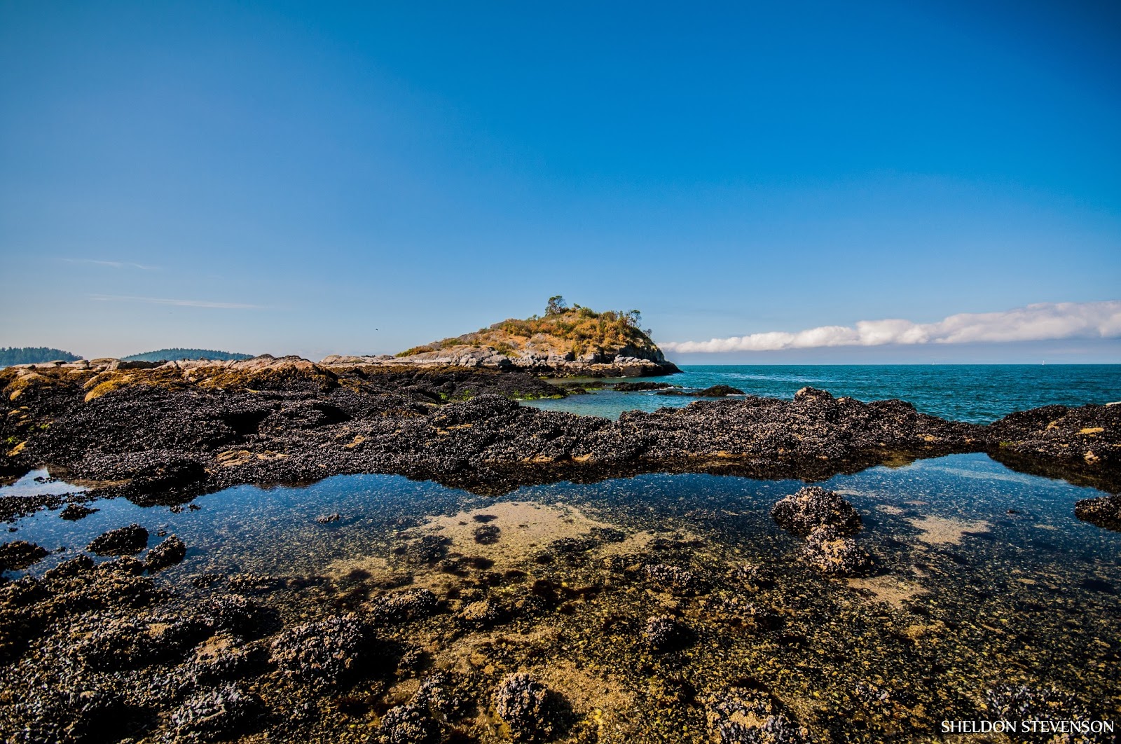 Sheldon Stevenson Photography Keats Island 2013