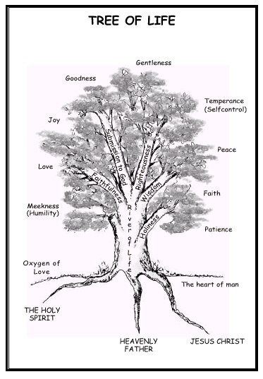 Prophetic Fire The Tree Of Life With Diagram