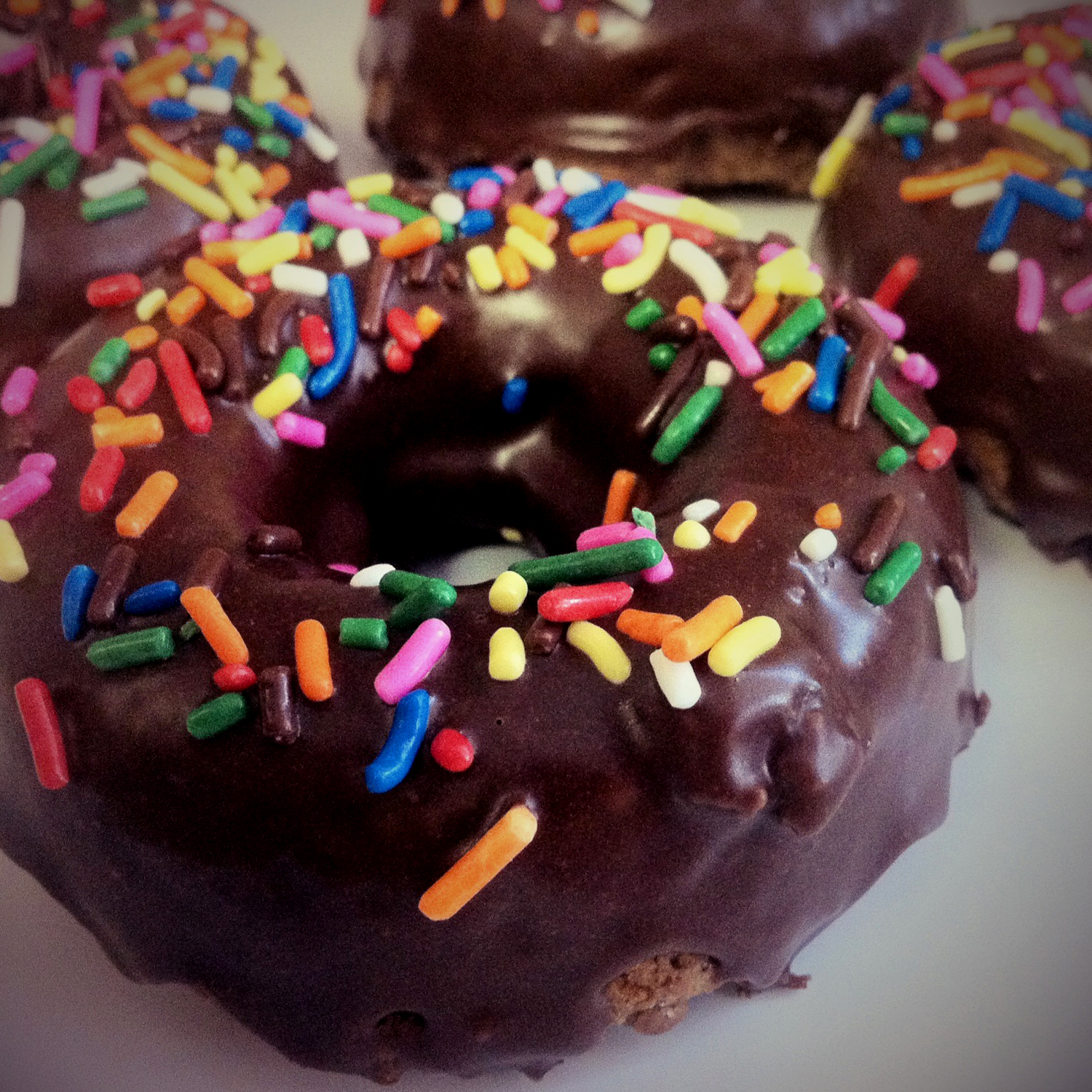 The Late Blooming Chef Baked Cocoa Spice Donuts