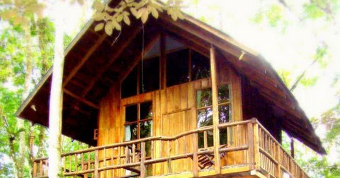 Love Treehouses Tree Houses Hotel Costa Rica
