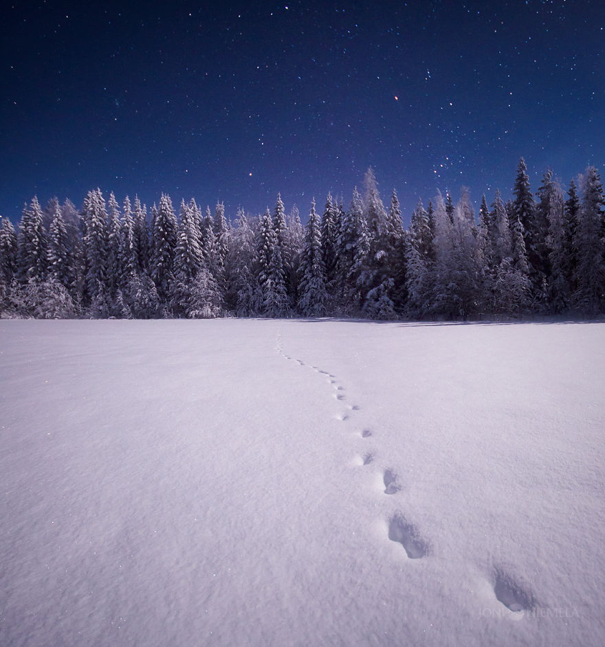I Captured The Finnish Night SkyI Captured The Finnish Night Sky I Captured The Finnish Night Sky