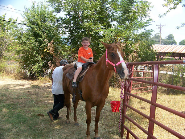 Sitting on a horse for the first time