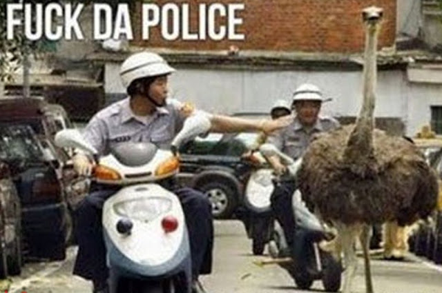 fuck-the-police-ostrich.jpg