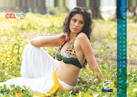 CCL 2012 Calendar