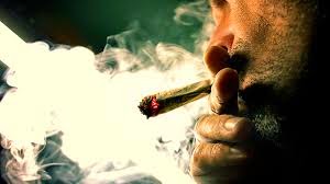 Causas del consumo de Drogas. Marihuana. como dejar la marihuana, efectos del consumo prolongado de marihuana Causas del consumo de Drogas. Marihuana. como dejar la marihuana, efectos del consumo prolongado de marihuana