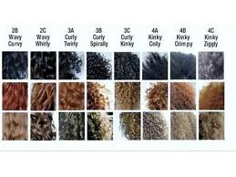 Beyond The Mane Hair Typing And Controversy In The Natural Community