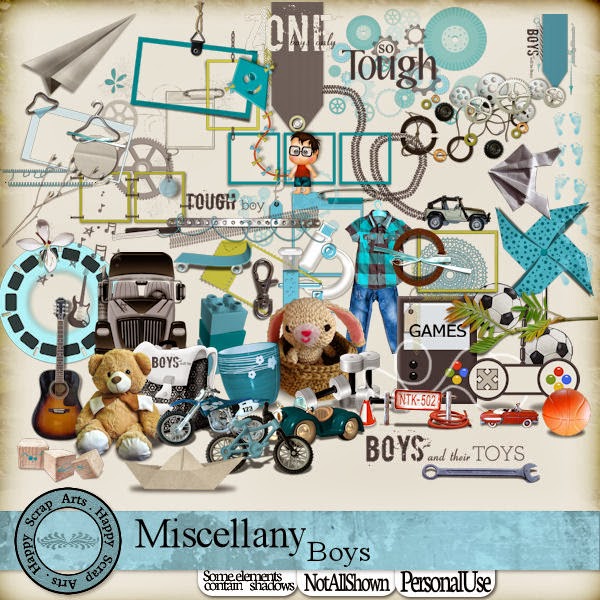 HSA-Miscelanny  Boy