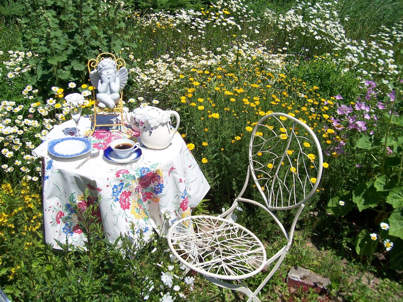 Two Cottages And Tea Daisy Tea