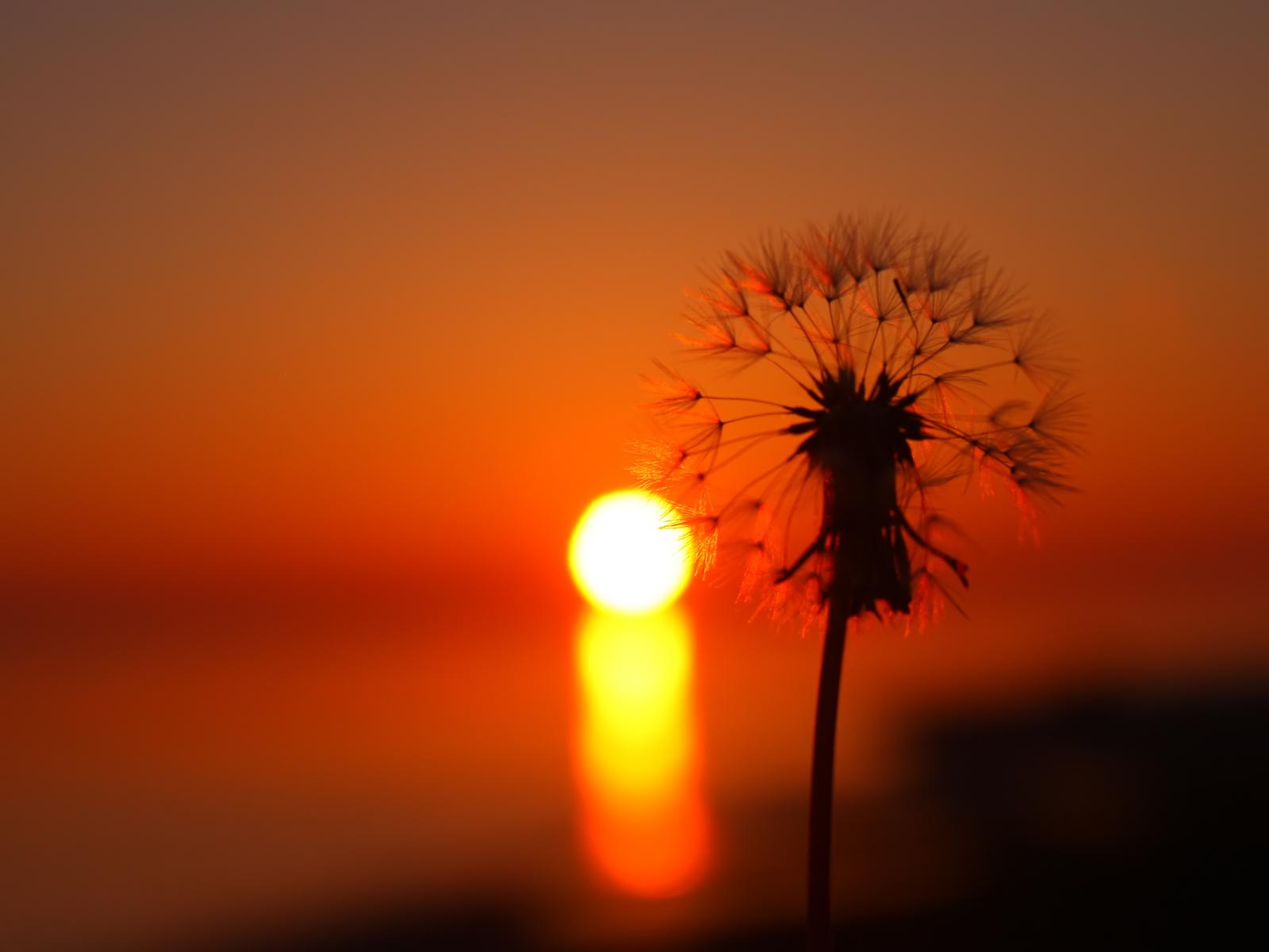 HD Summer Sunset desktop wallpaper HD Summer Sunset desktop wallpaper