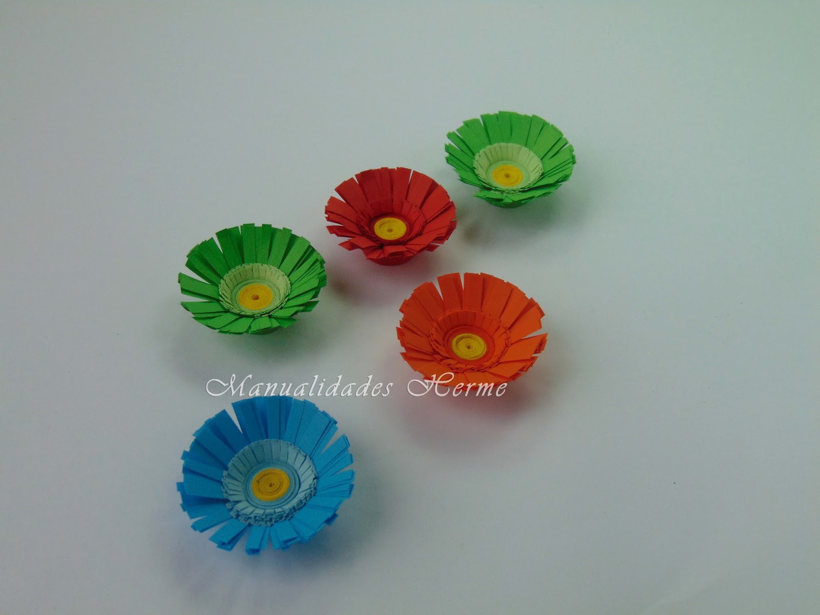 Cuidados de las Gerberas YouTube