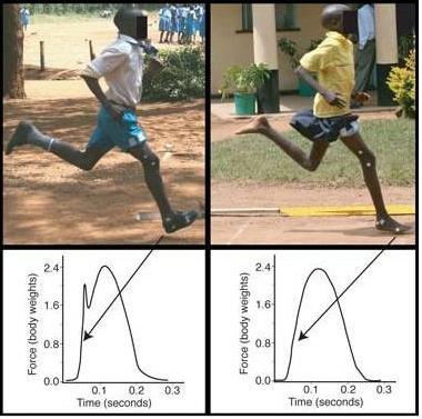 tenis sem amortecimento