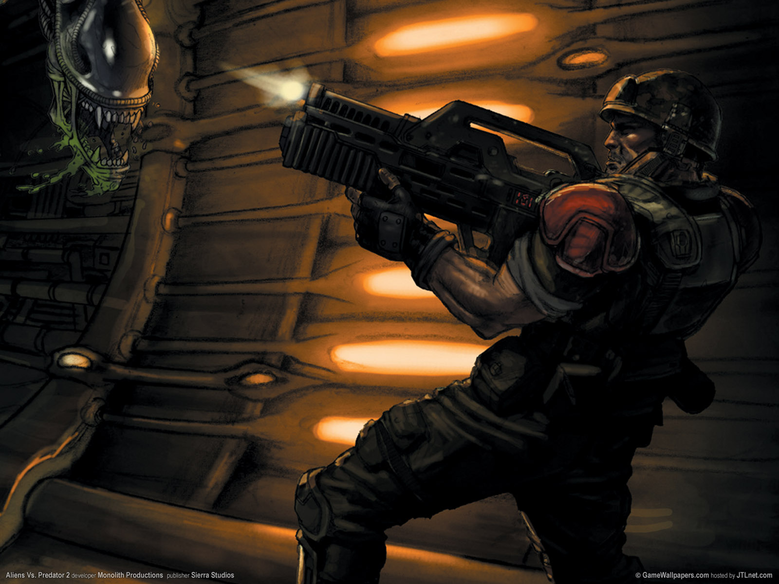 Alien Predator Wallpaper
