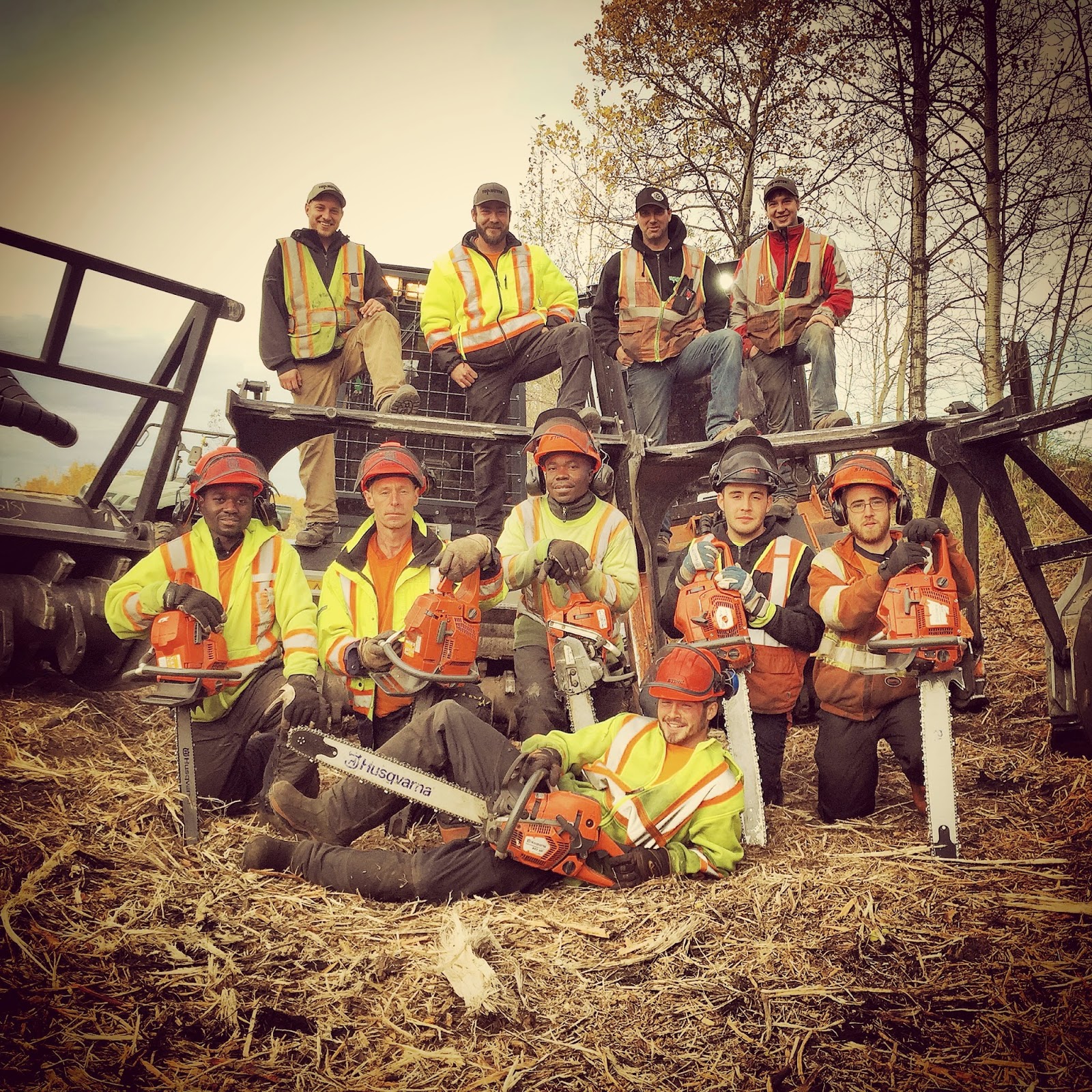 Top Notch Tree Service