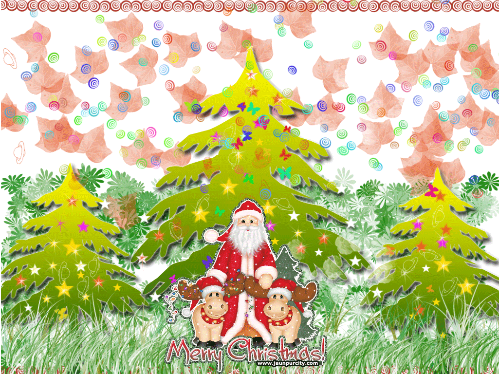 XMAS FLASH CARDS xmas flash cards: