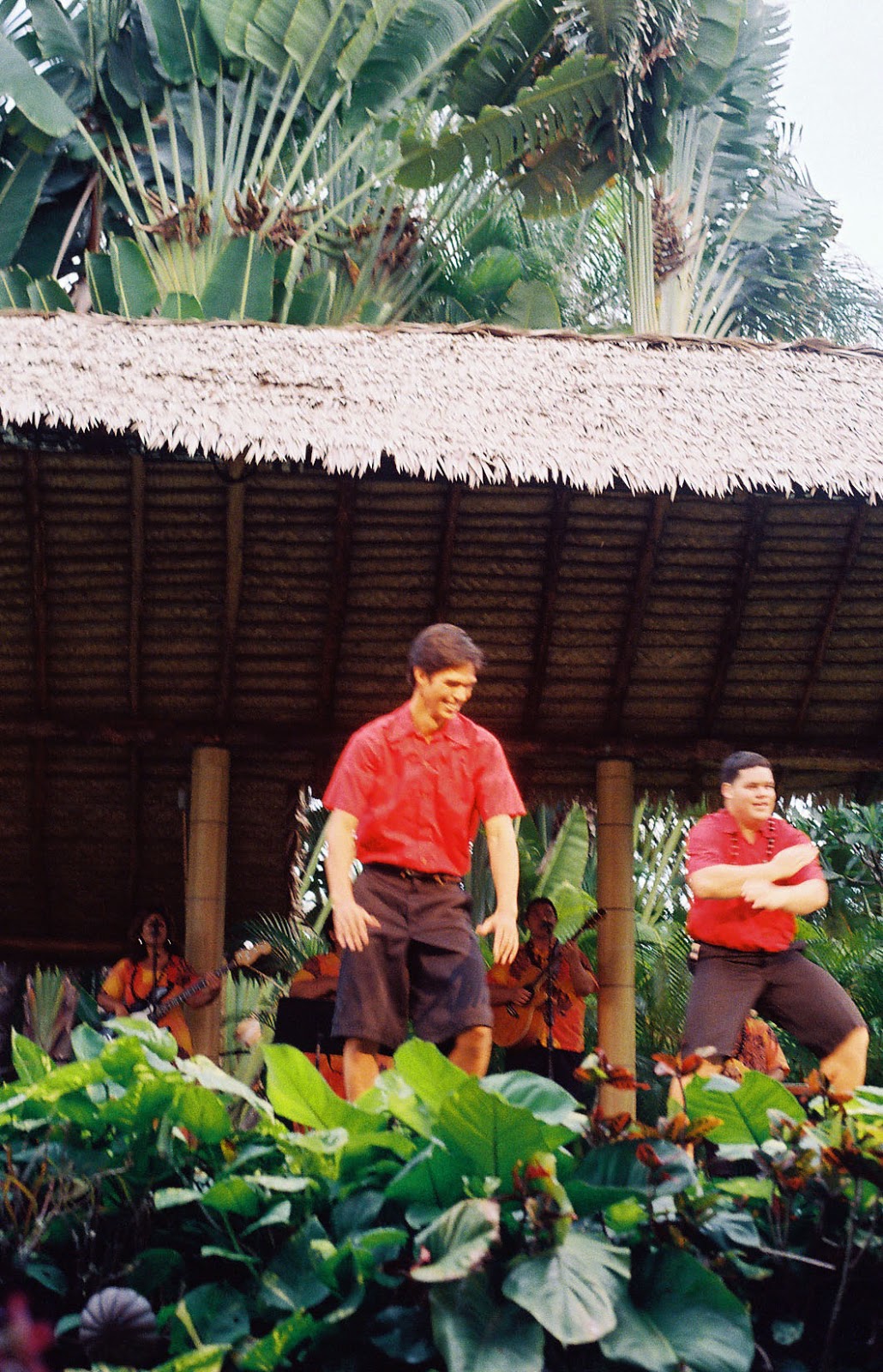 Words to describe hawaii picture