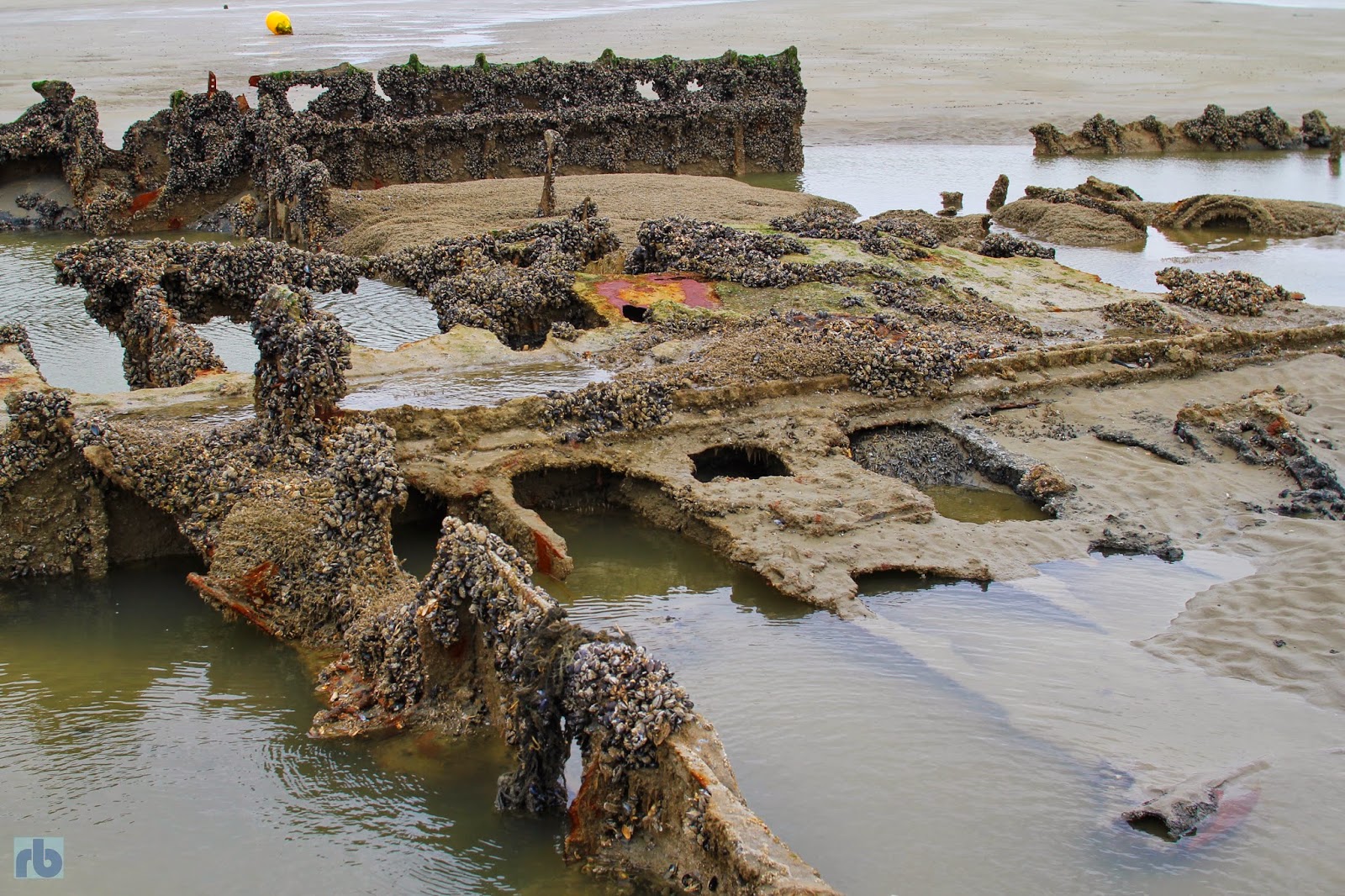 Mes escapades........ Zuydcoote