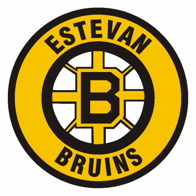 bruins parade 2011 bruins stanley cup Boston Bruins Wallpaper : Meet The Bear