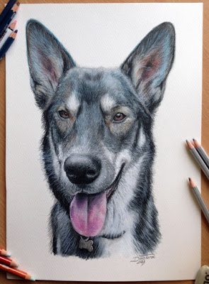 30 гиперреалистичных портрета собак карандашом
