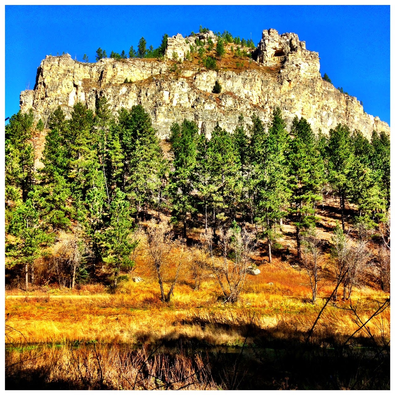 E. Wolfmeyer Quilts Black Hills, South Dakota October 2014