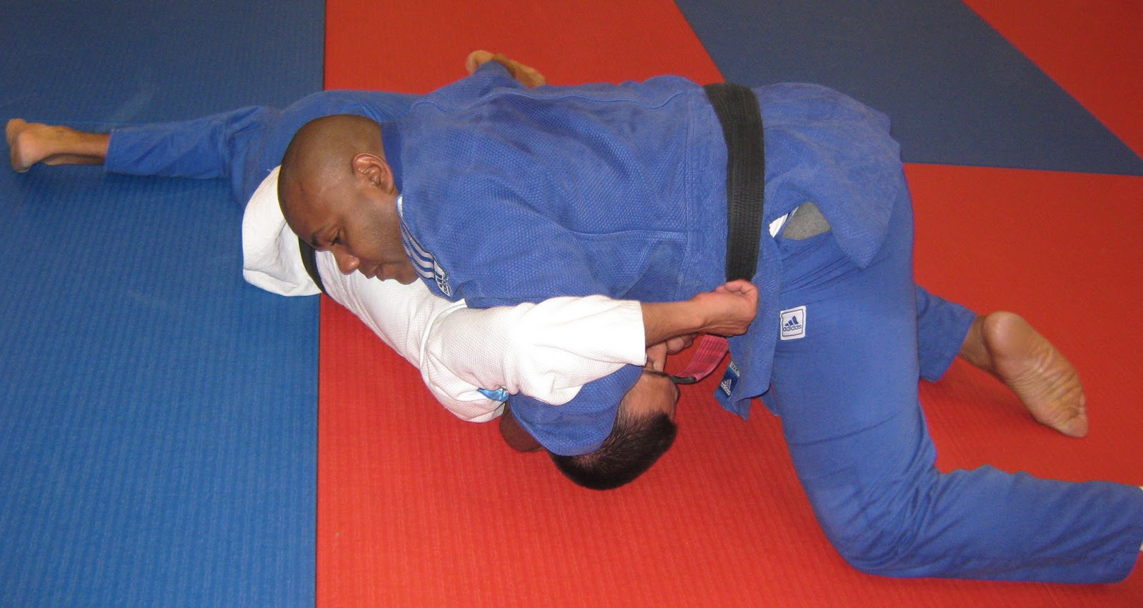 The Business/Judo of Life Do a halfnelson, damn it!