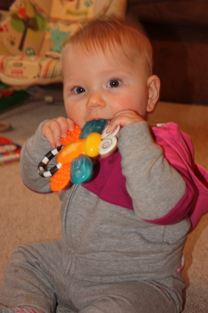 sassy flutterby teether